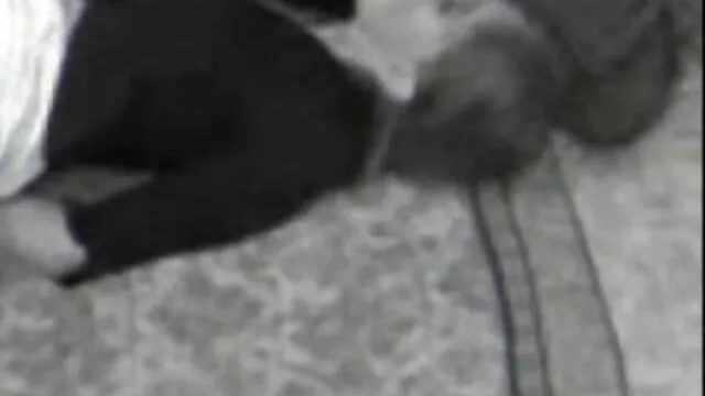 Abuela cachonda seduce a español latino xxx su yerno